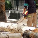 한국종합상사 이미지