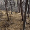 전봉준로 이미지