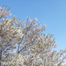 만덕3동-8 이미지