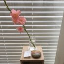 우지커피 인천용현점 이미지