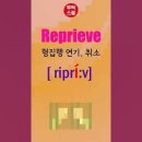 [무적 유튜브 Shorts 강의] Reprieve 이미지