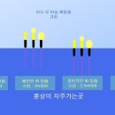 척산낚시터 이미지