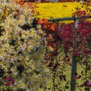 시래기코다리찜 이미지