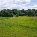 음지리농장 이미지