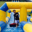 경희대 승리 태권도 이미지