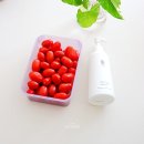 야채.과일 - 충주시 대현4길 48 | 아이 과일 안심세척! 파우더보다 더 편한 액상형 무해로이 과일 야채 세정수 과일세척제 후기