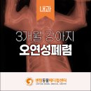 배산동물병원 이미지