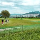 대저생태공원 이미지