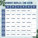 리썸바디 필라니스 이미지