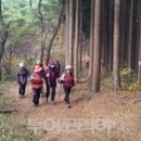 편백림 이미지
