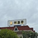 마산애견 | [마산] 구산면 오션뷰 애견운동장 “메르몽” 후기