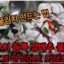 양배추 물김치 만드는법 이미지
