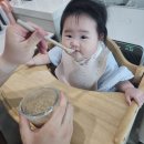 영양우체국 | 베베쿡 이유식 리얼 후기🥄 중기이유식 영양과 안전까지 만족!