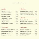 뱅뱅 인천 구월점 | [인천/구월] 주택가 골목 티라미수가 맛있는 조용한 레트로 카페 『콤비커피로스터스』