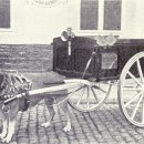 파트라슈 이미지