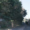 삼달1리 이미지