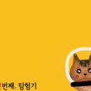 쌀롱드북 이미지
