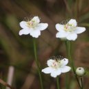 덕만농장 이미지