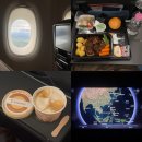 237 | 싱가포르 항공 멜버른 싱가폴 경유 기내식 후기 (SQ601 SQ237 SQ248 SQ606)