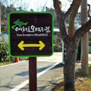 샘골 농장 | 대전 가볼만한곳 : 대청호 오백리길 황새바위 코스