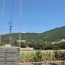 여름 막바지 부산 2박 3일 여행