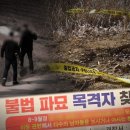 합천이모 이미지