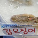 야옹수산 이미지