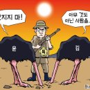 8월8일