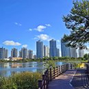 푸른하늘 이미지