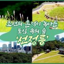 [UHD 한국 100경] 조선의 흔적이 녹아든 도심속의 숲 서울 '선정릉' 이미지