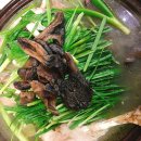 달구와 낭구 이미지