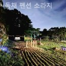 소라지 이미지