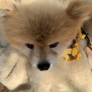 호두데이 이미지