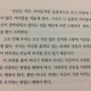 덕크로싱