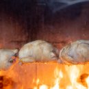 닭나라 정 이미지