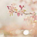 박흥섭