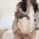 B.G.R 이미지