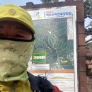 휴양림길 이미지