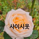 고래재