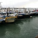 군산대게수산 이미지