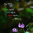 화요일 이미지