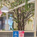 용지호수공원 | 창원 성산구 용호동 정우상가 용지호수 근처 돈까스 맛집 식당 : 소바카츠 용지호수공원점