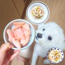 강화중성 | 강아지 보양식 레시피 닭죽 중성지방