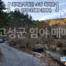 최외윤공인중개사사무소 네이버블로그