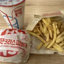 [주간일기] 정신없던 한주 일기 또륵