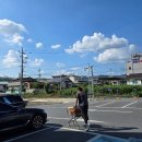 하나로마트 금성농협본점 이미지