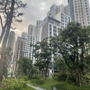 대구내당초등학교 이미지