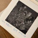 바비런던 | [영국 워홀]런던일기25: 휴가 가기 전 짧은 일상