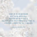 100세약국 이미지