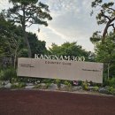 컨츄리뜨기 | 26년 6월 17일 강남300CC 골프장 아쉬움이 많은 라운드 후기